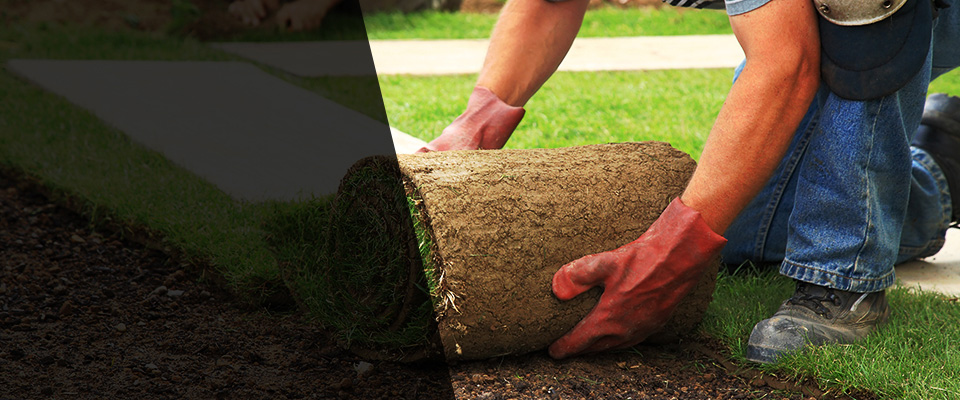 West Point Landscapers